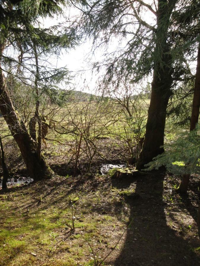 Ferienwohnung Wandervogel Braunlage Dış mekan fotoğraf