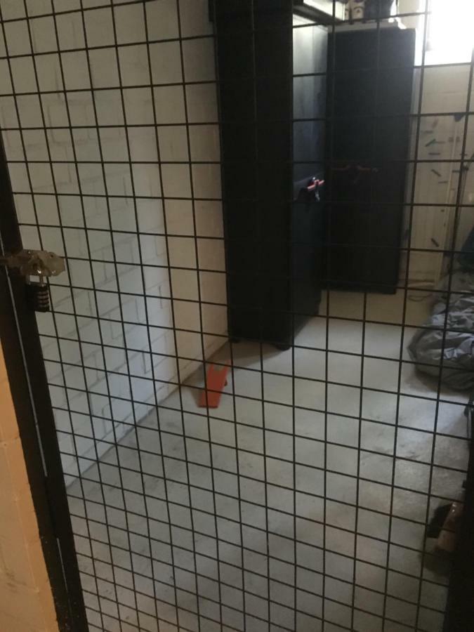 Ferienwohnung Wandervogel Braunlage Dış mekan fotoğraf